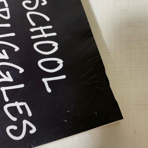 Dr. Richard Selznick Shut-Down Learner & School Struggles 2 Book Set Parenting - Picture 9 of 11